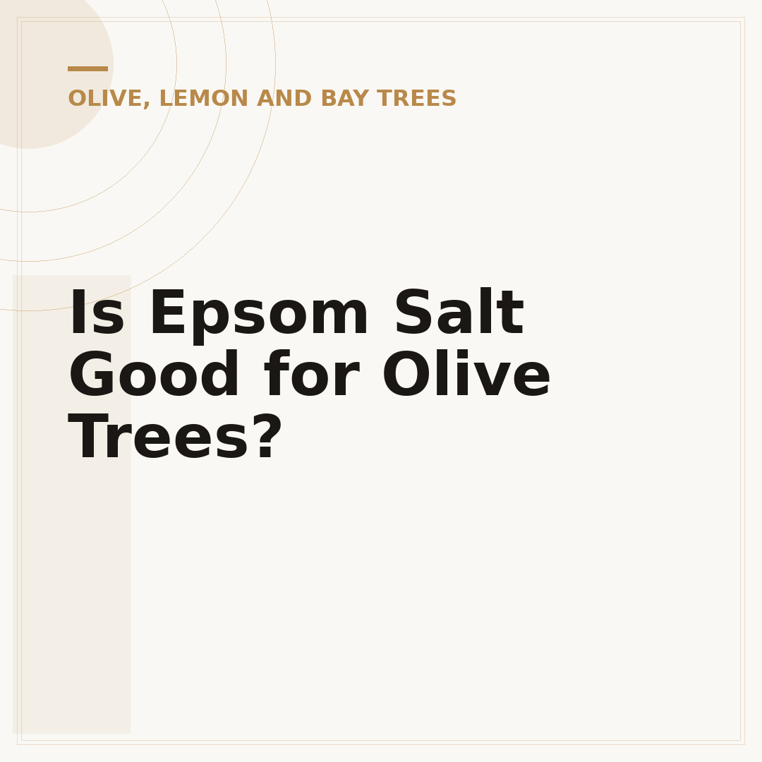 Is Epsom Salt Good for Olive Trees?