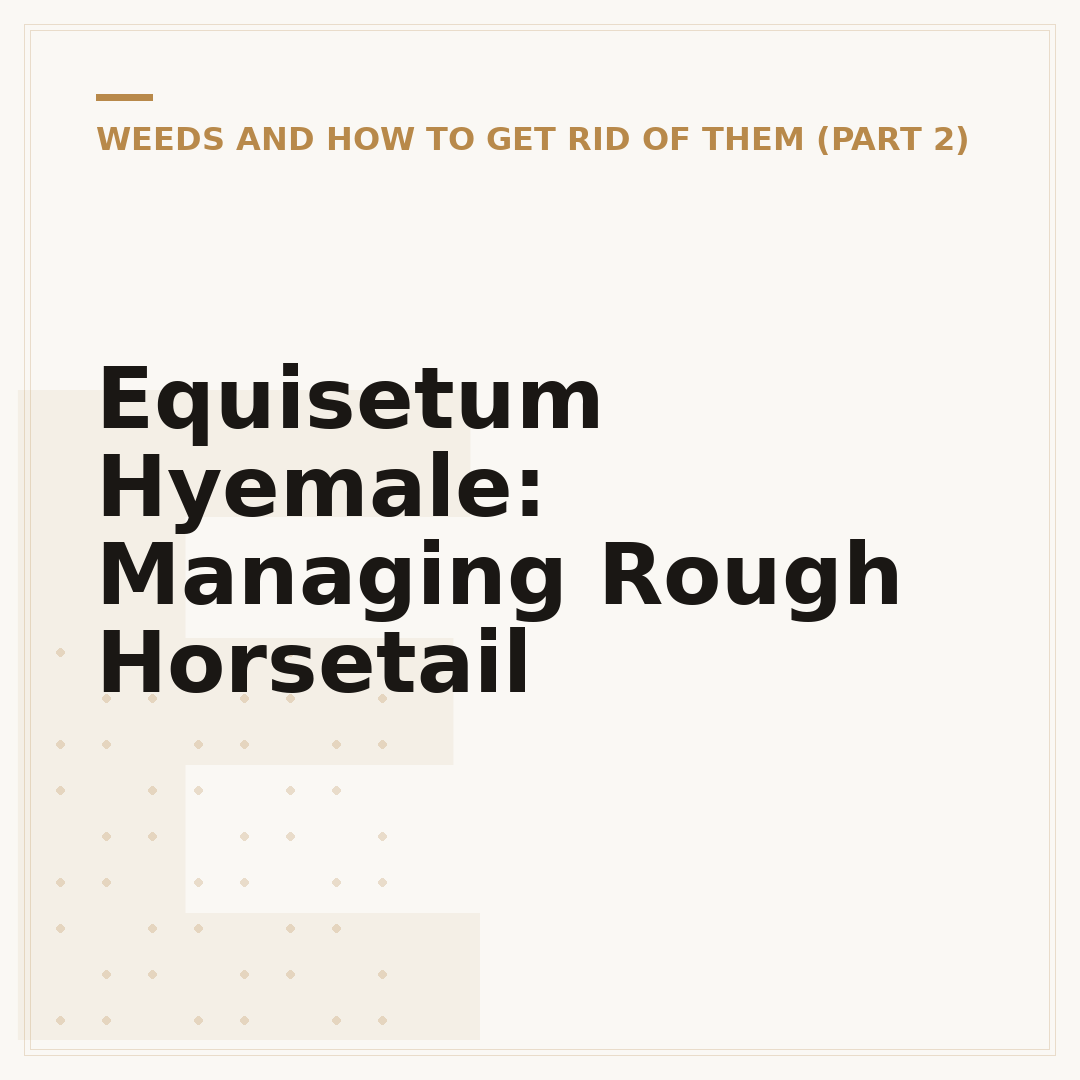 Equisetum Hyemale: Managing Rough Horsetail