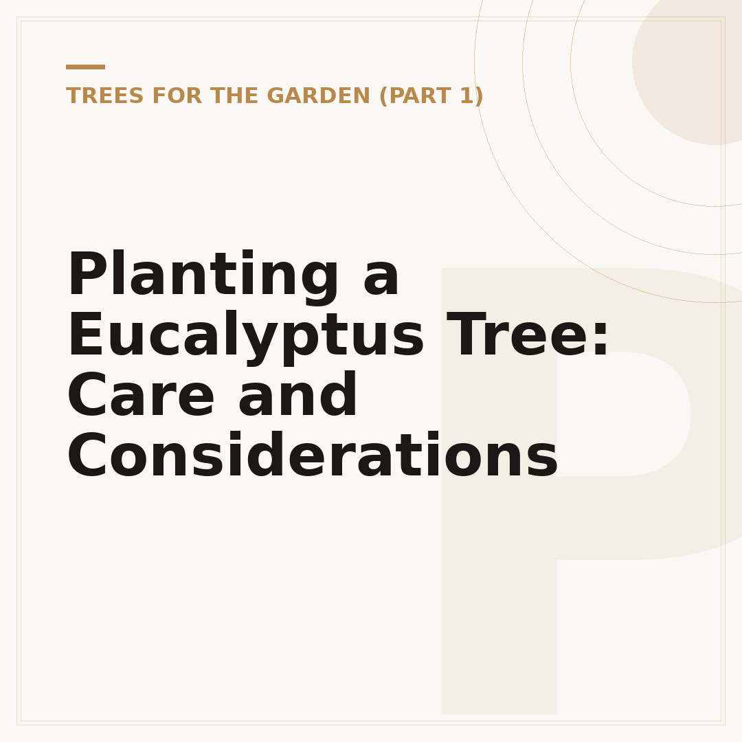 Planting a Eucalyptus Tree: Care and Considerations