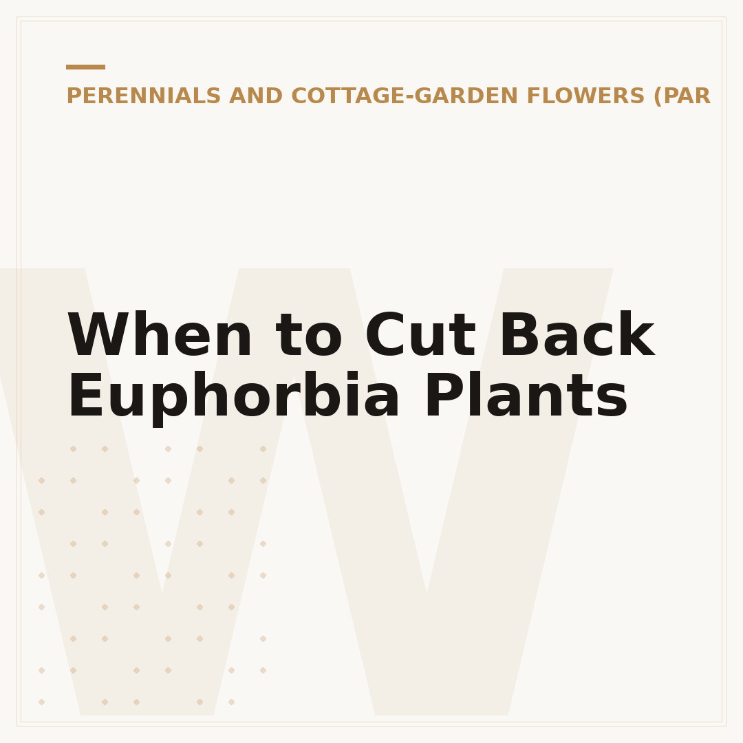 When to Cut Back Euphorbia Plants