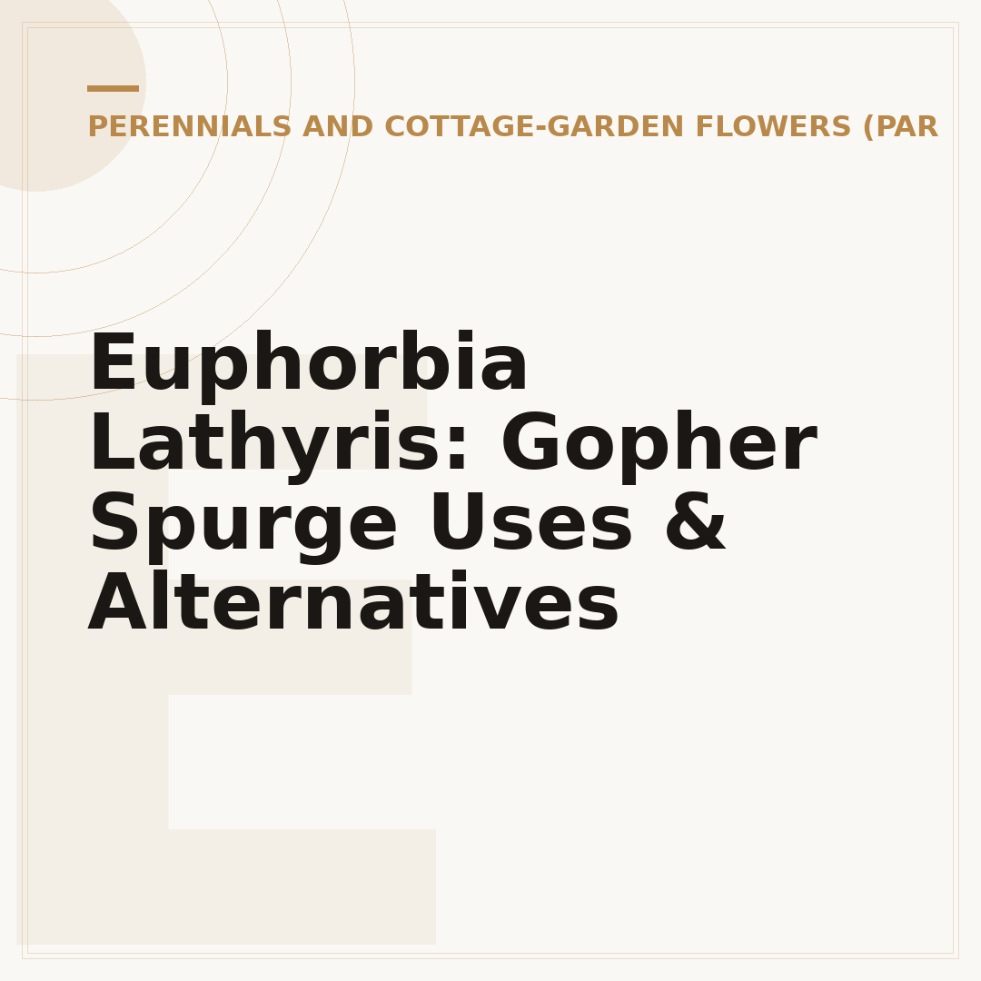 Euphorbia Lathyris: Gopher Spurge Uses & Alternatives