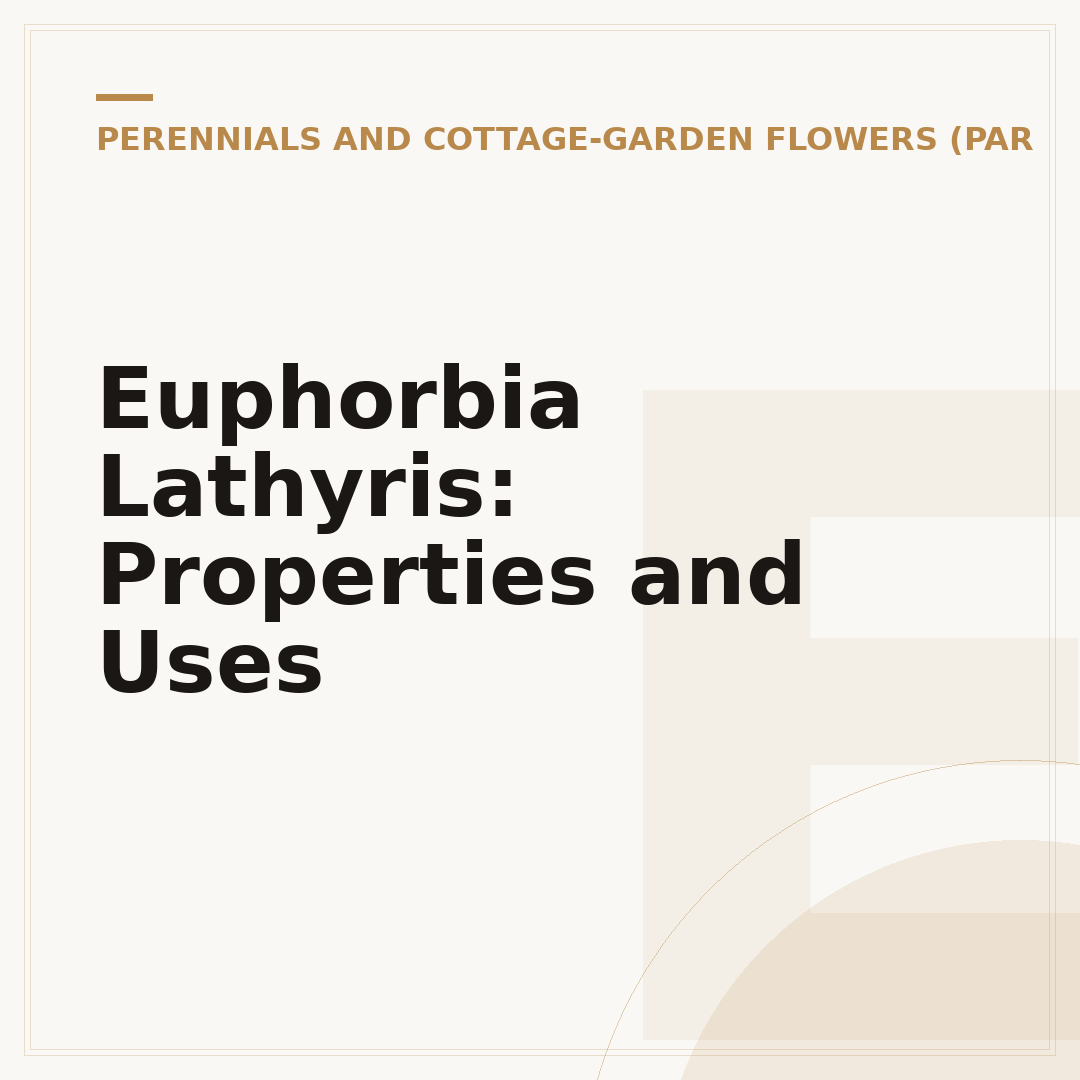 Euphorbia Lathyris: Properties and Uses