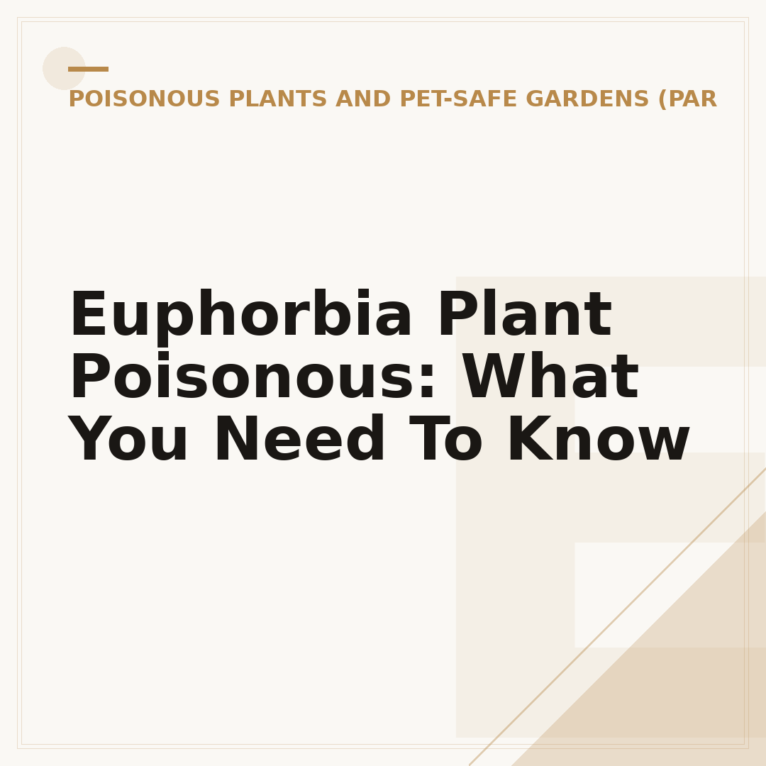 Euphorbia Plant Poisonous: What You Need To Know