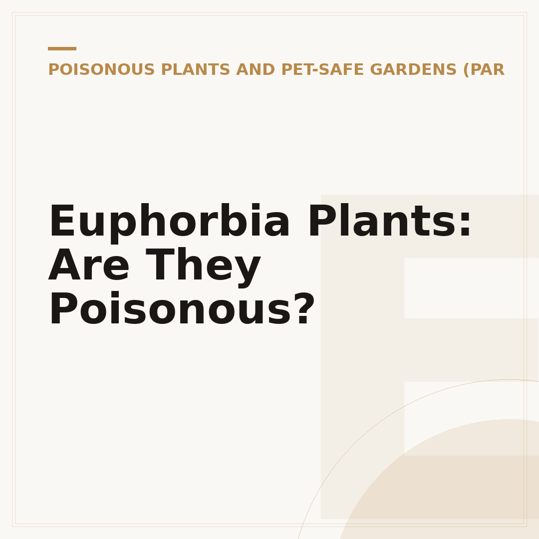 Euphorbia Plants: Are They Poisonous?