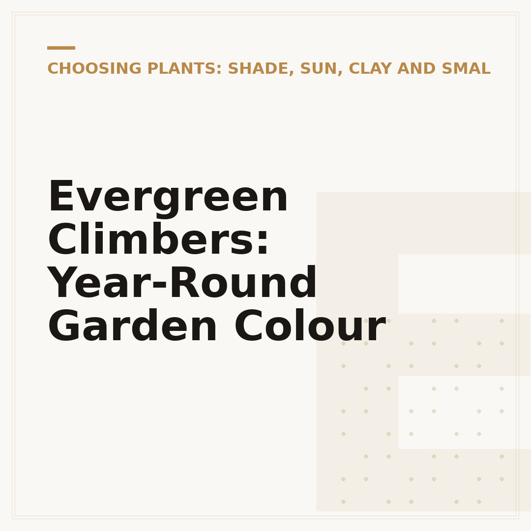 Evergreen Climbers: Year-Round Garden Colour