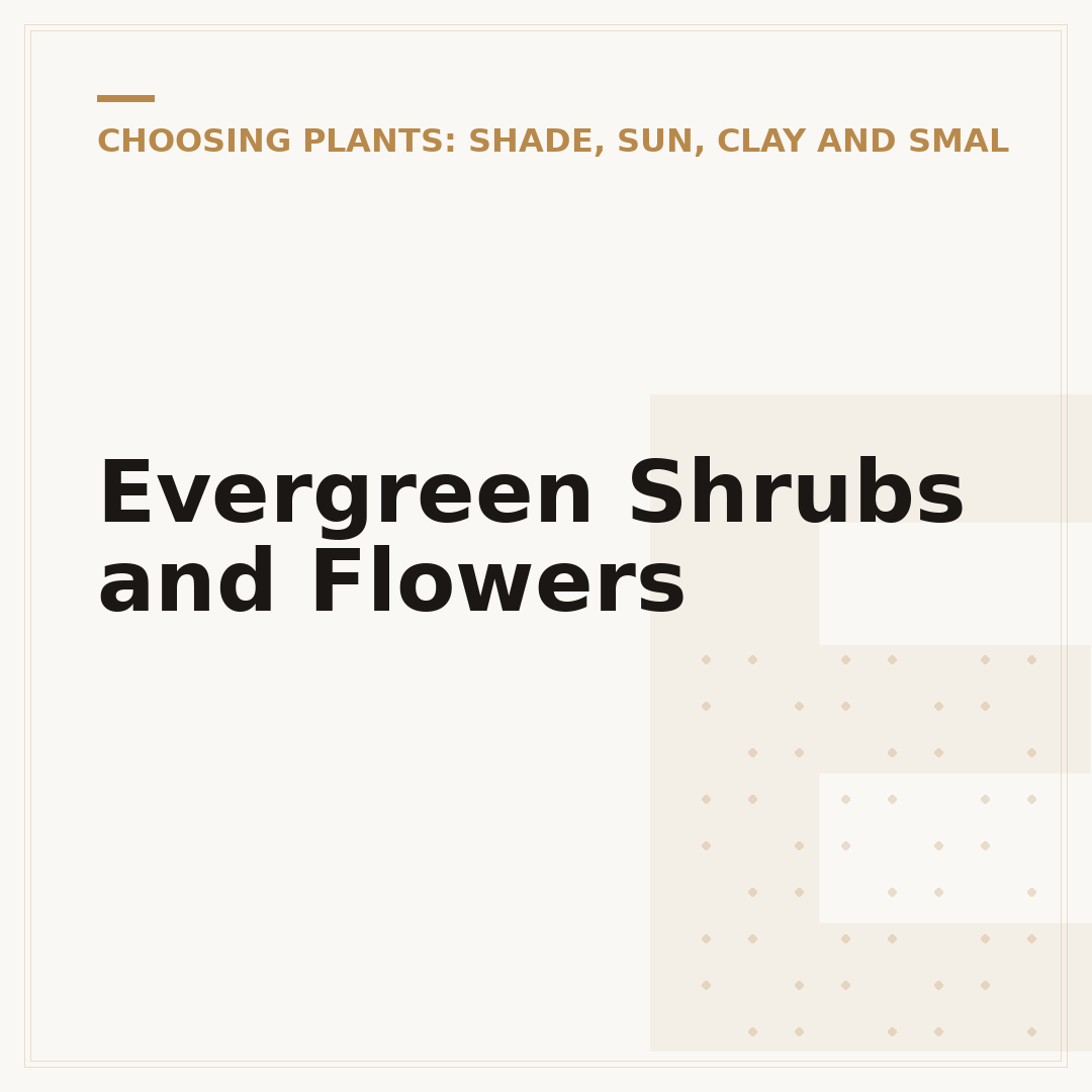 Evergreen Shrubs and Flowers