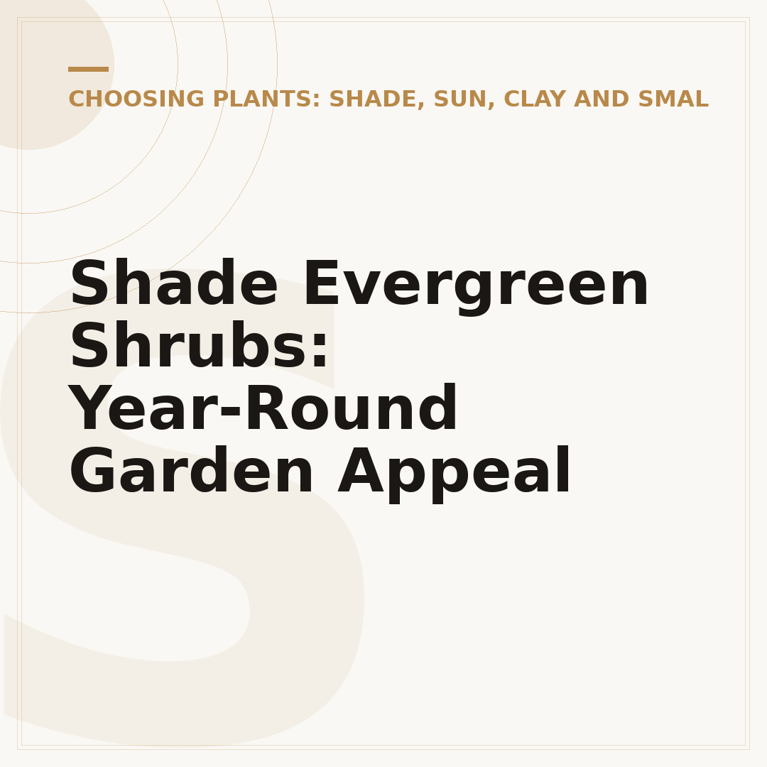 Shade Evergreen Shrubs: Year-Round Garden Appeal