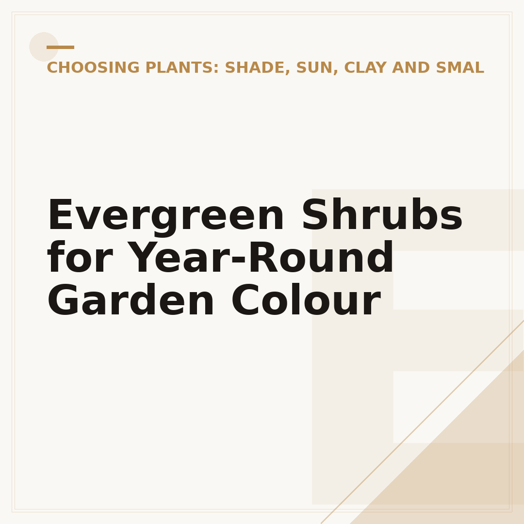 Evergreen Shrubs for Year-Round Garden Colour