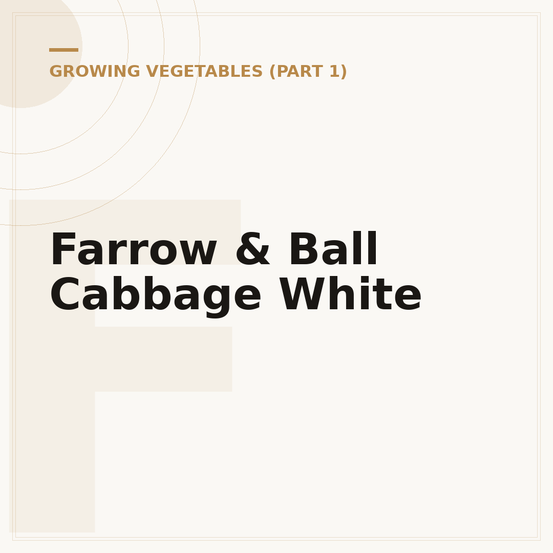 Farrow & Ball Cabbage White