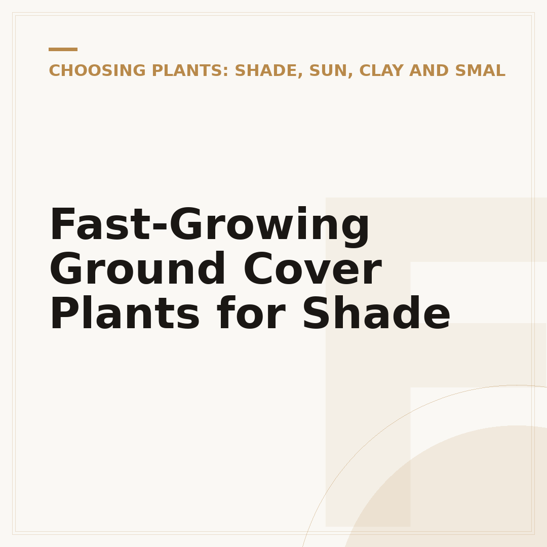 Fast-Growing Ground Cover Plants for Shade