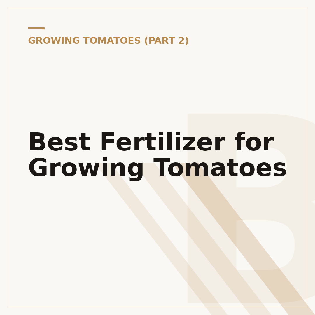 Best Fertilizer for Growing Tomatoes