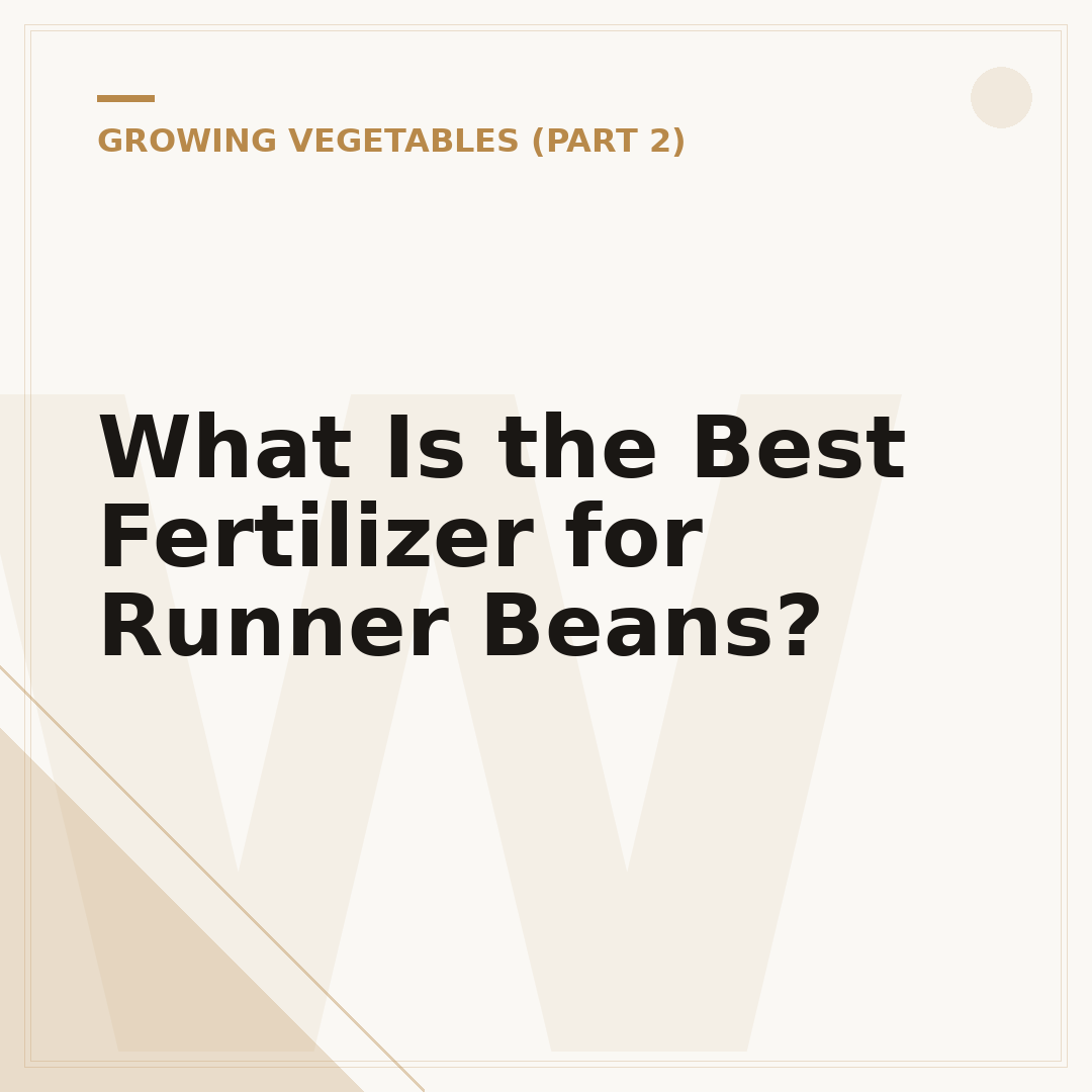 What Is the Best Fertilizer for Runner Beans?