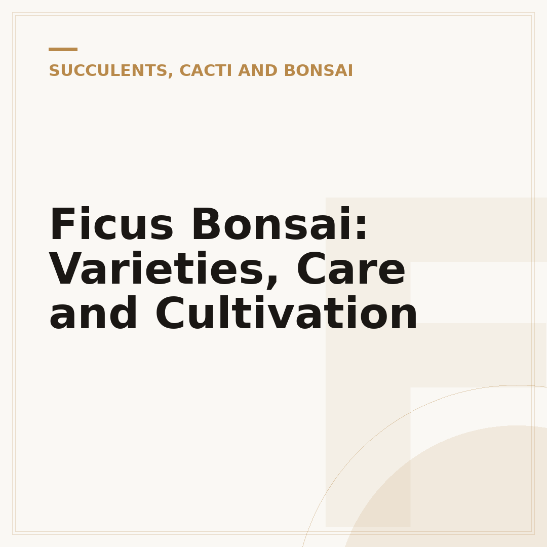 Ficus Bonsai: Varieties, Care and Cultivation