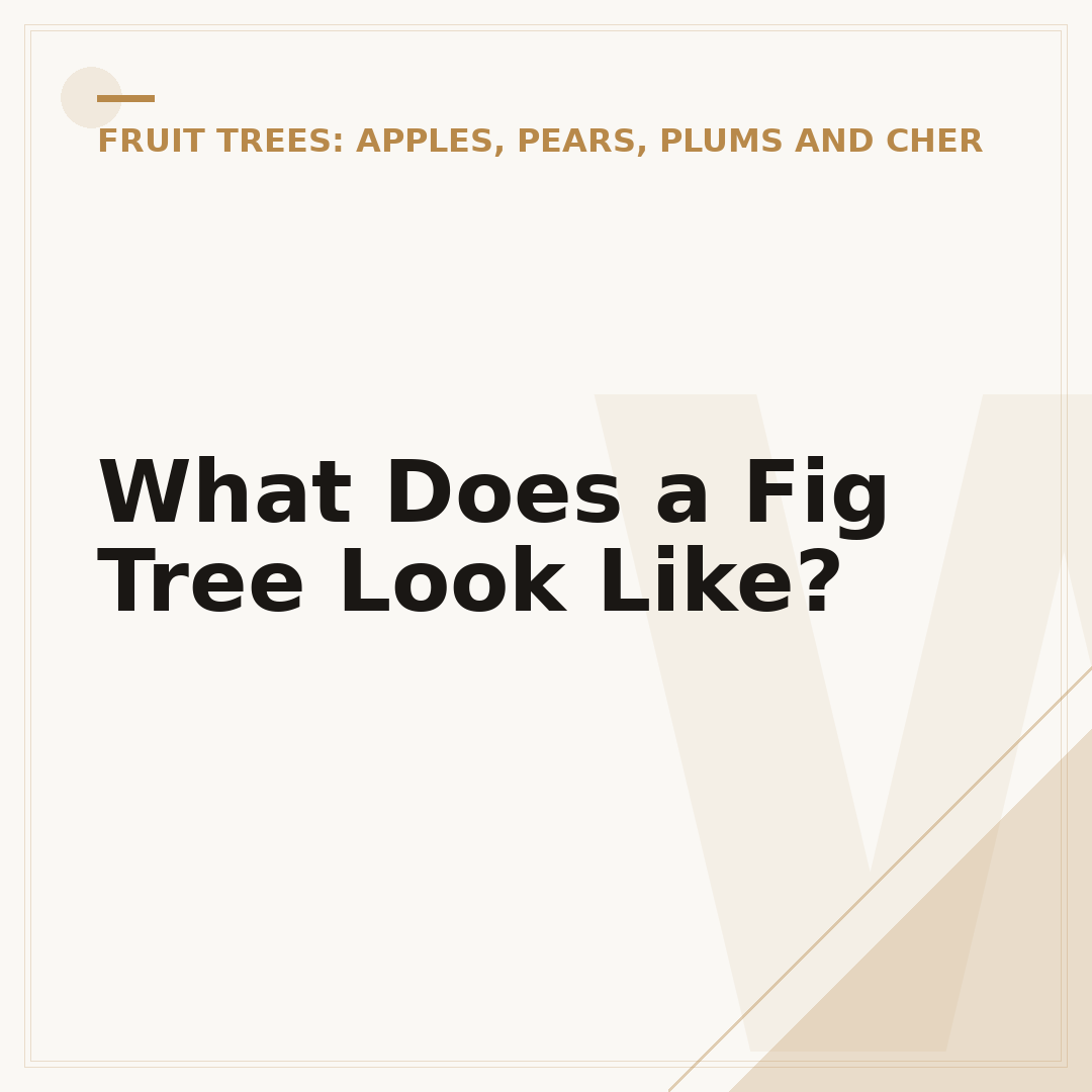 What Does a Fig Tree Look Like?