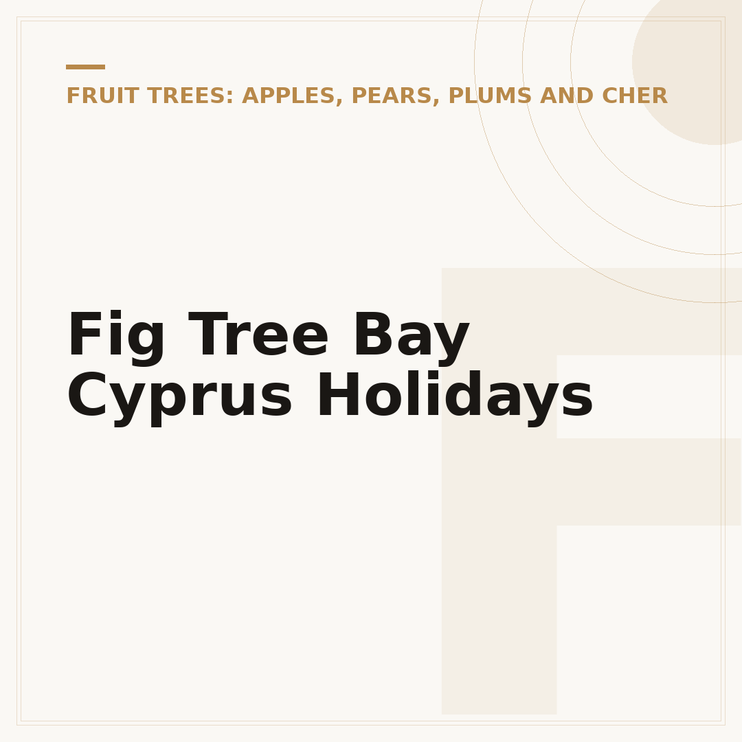 Fig Tree Bay Cyprus Holidays