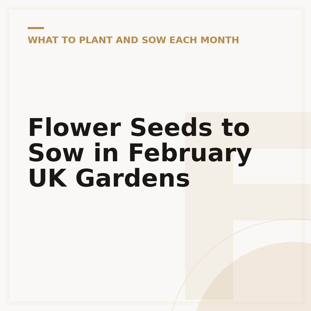 Flower Seeds to Sow in February UK Gardens