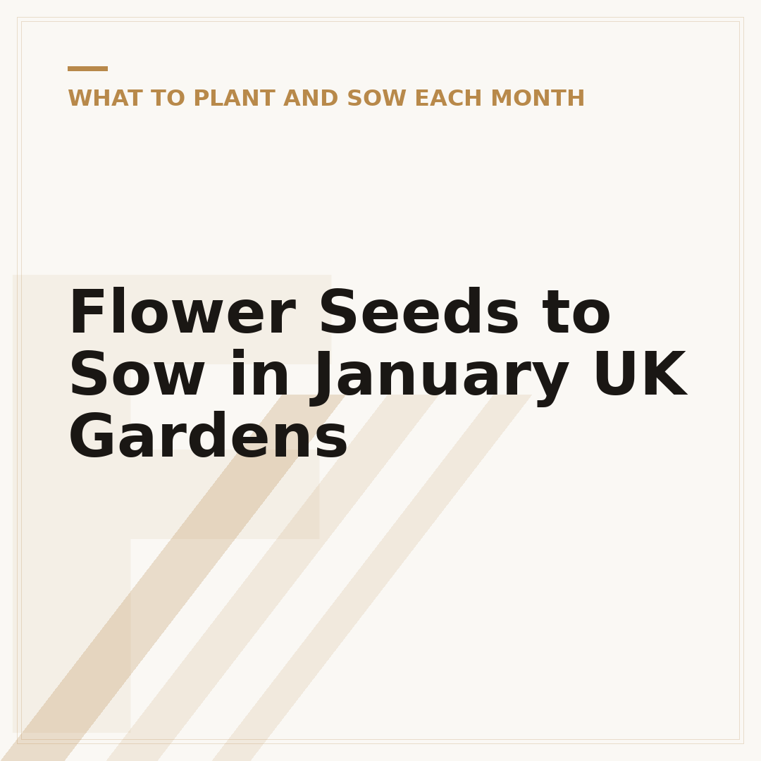 Flower Seeds to Sow in January UK Gardens