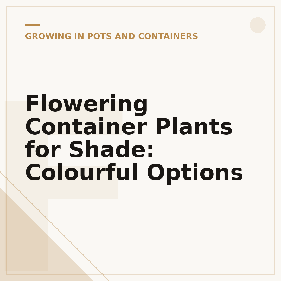 Flowering Container Plants for Shade: Colourful Options