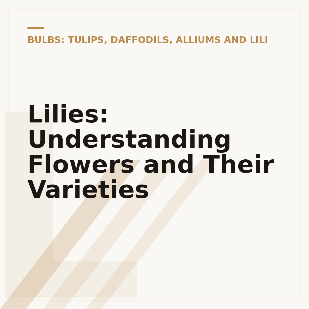 Lilies: Understanding Flowers and Their Varieties
