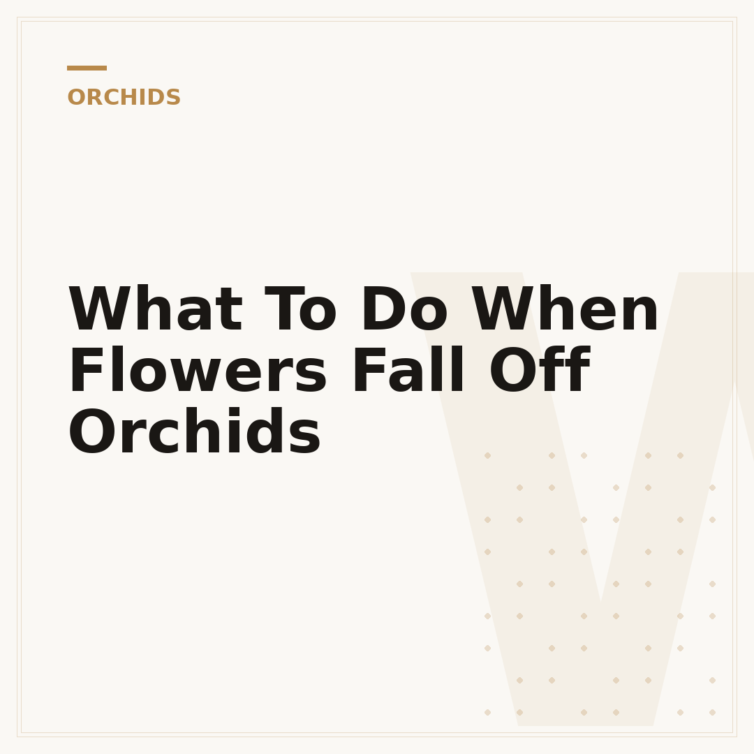 What To Do When Flowers Fall Off Orchids