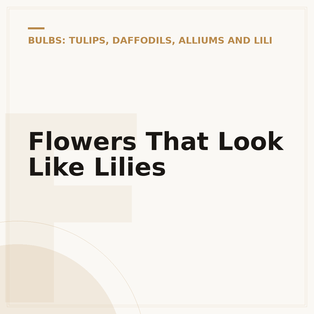 Flowers That Look Like Lilies