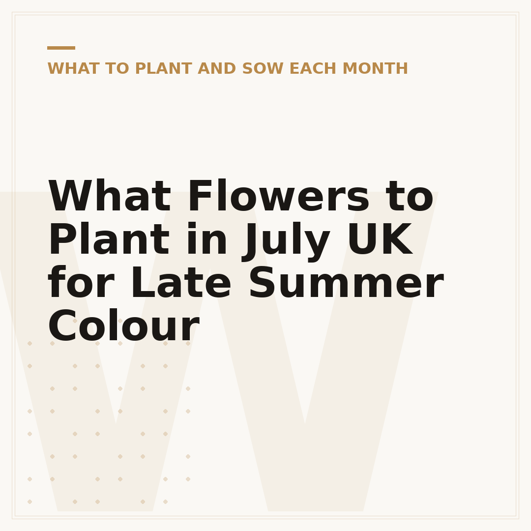 What Flowers to Plant in July UK for Late Summer Colour