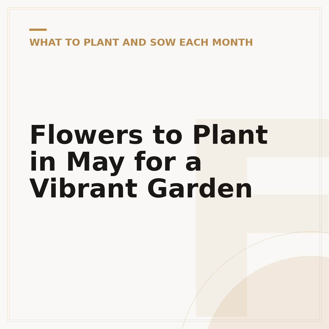 Flowers to Plant in May for a Vibrant Garden