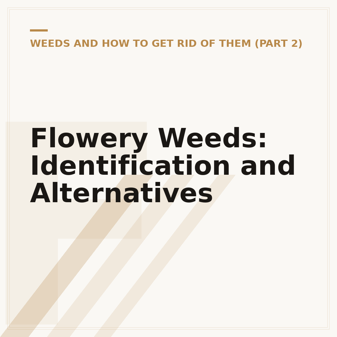 Flowery Weeds: Identification and Alternatives
