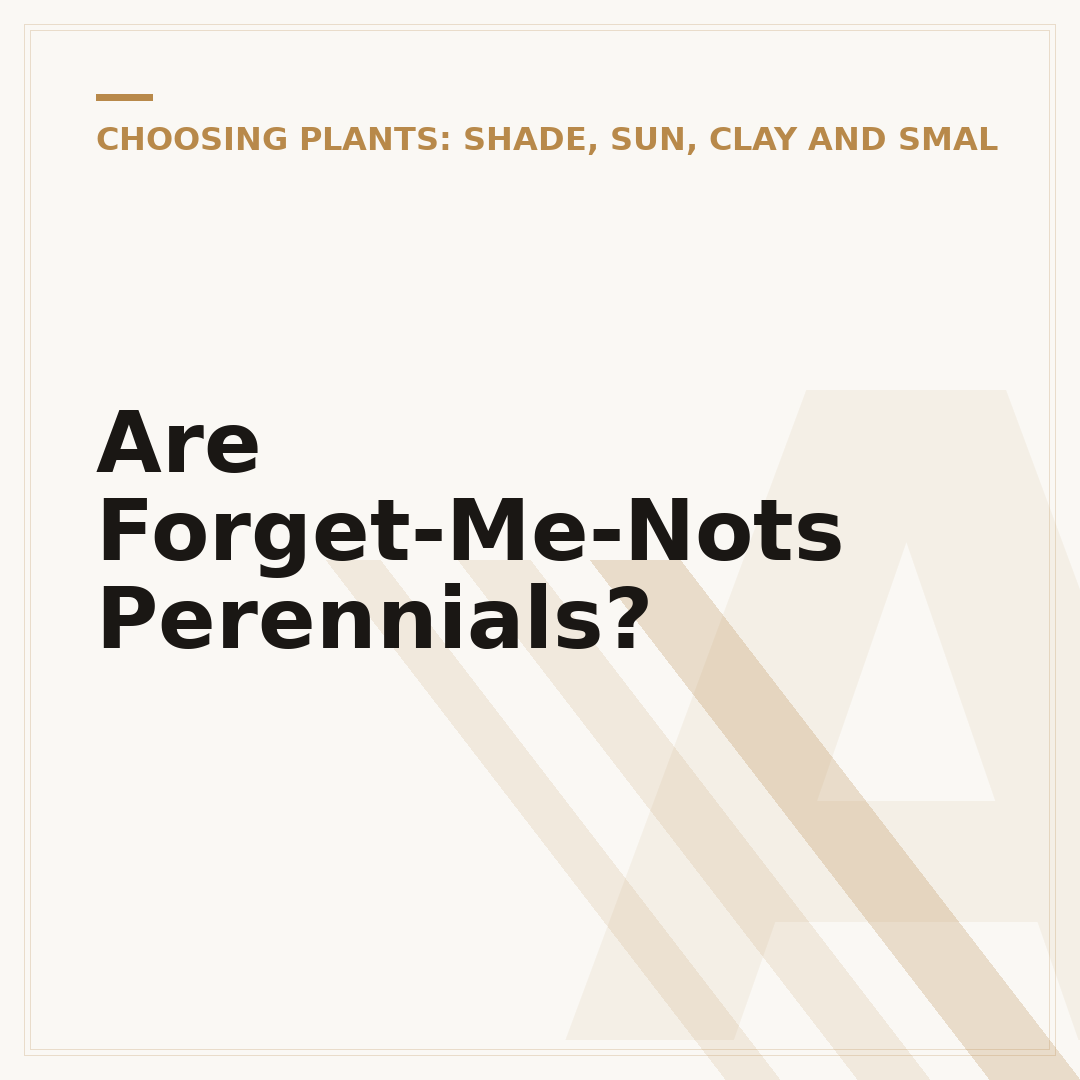 Are Forget-Me-Nots Perennials?