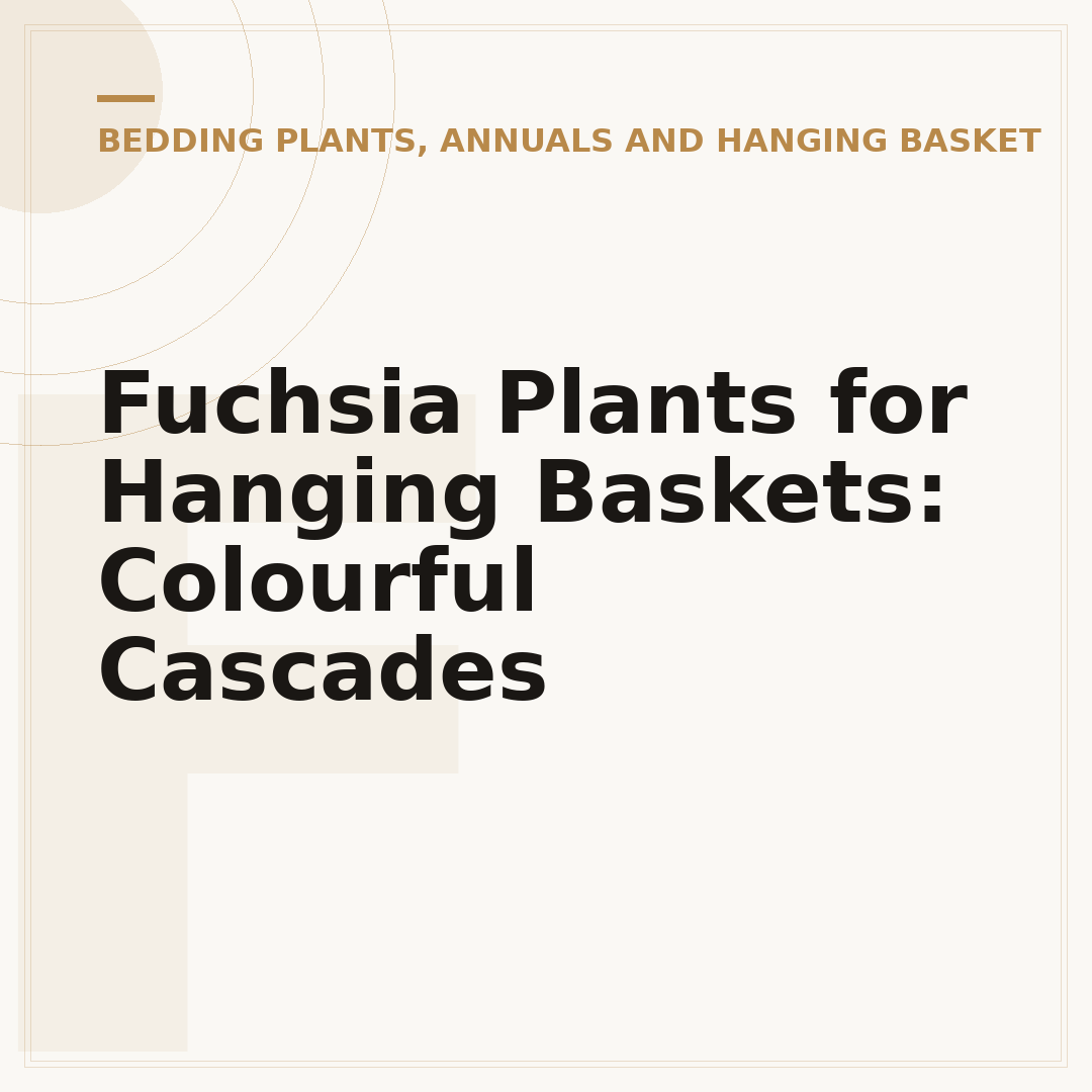 Fuchsia Plants for Hanging Baskets: Colourful Cascades
