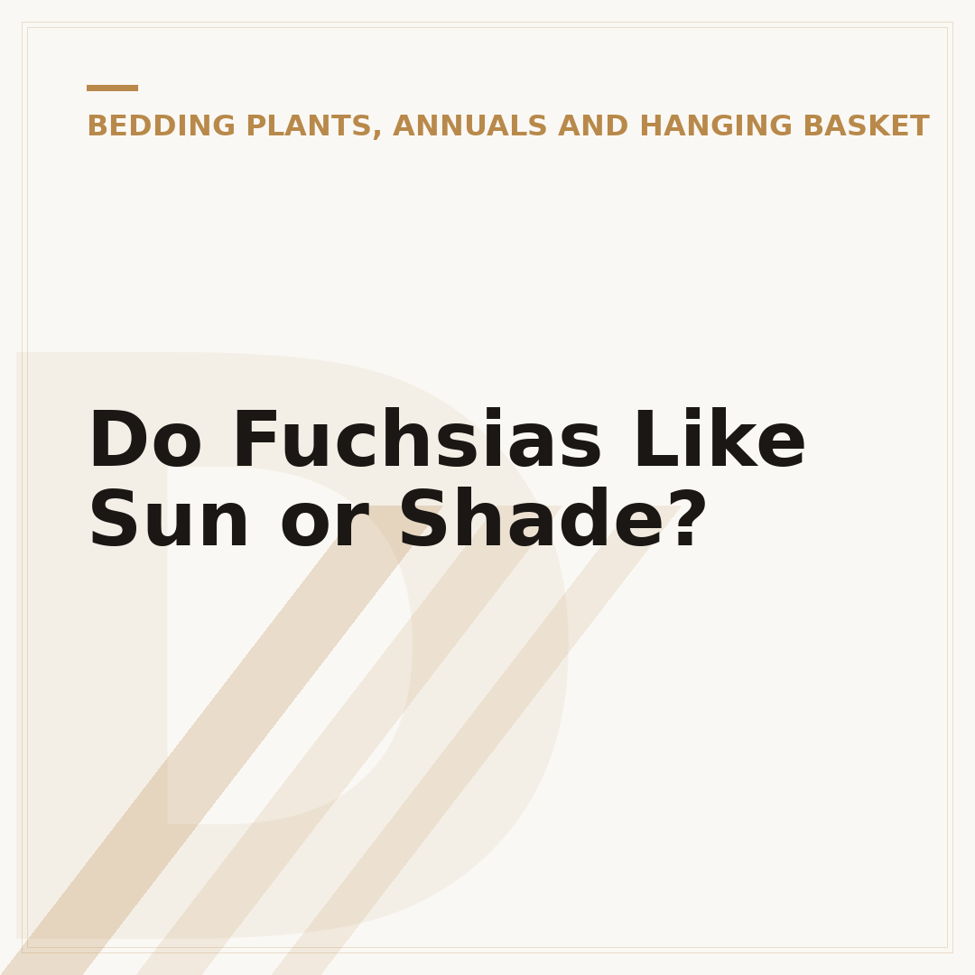 Do Fuchsias Like Sun or Shade?