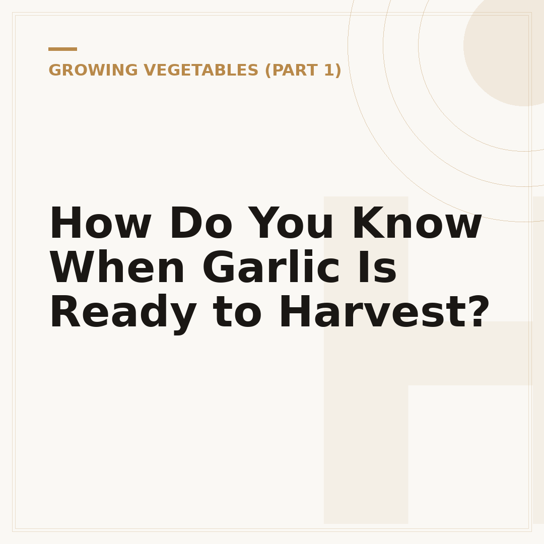 How Do You Know When Garlic Is Ready to Harvest?