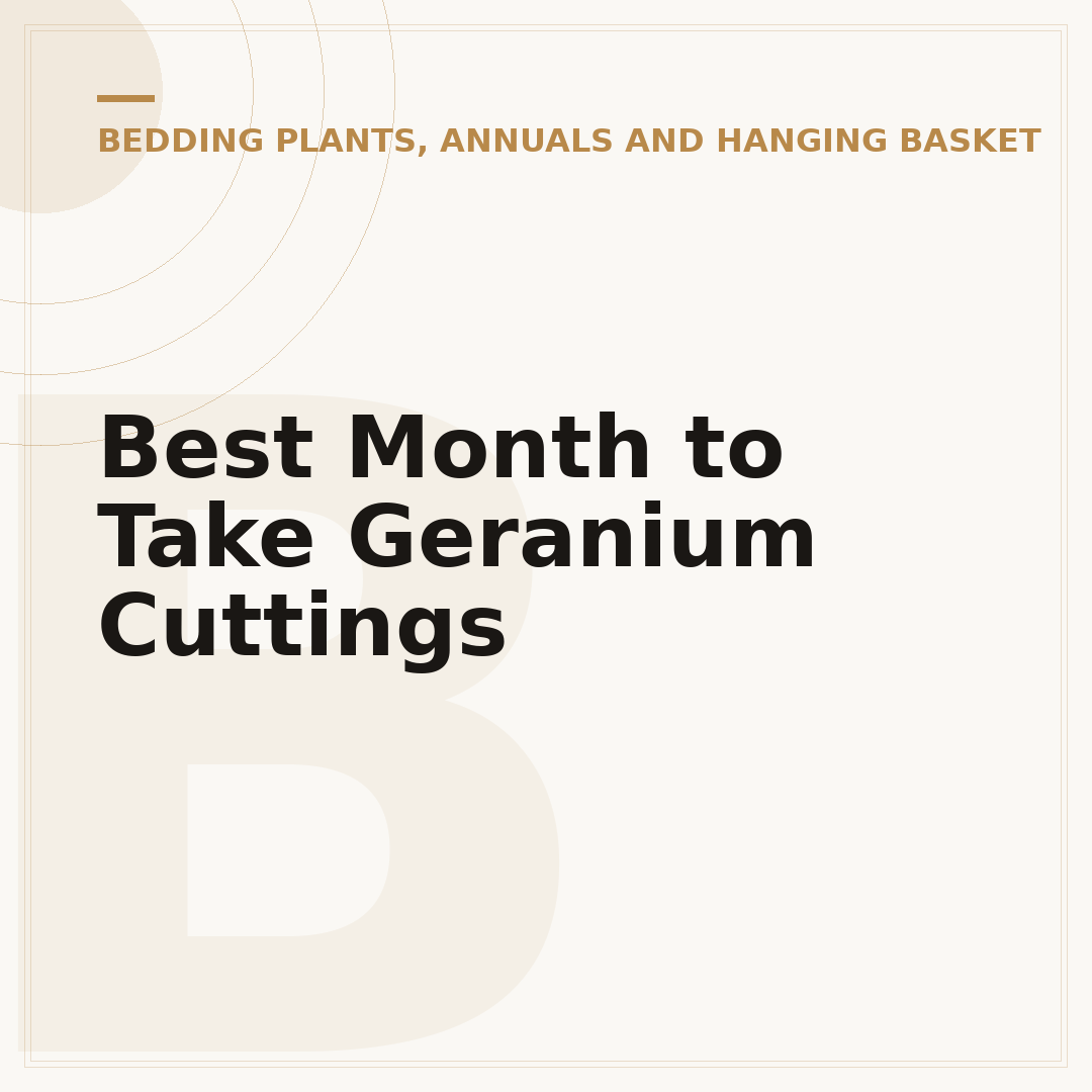 Best Month to Take Geranium Cuttings