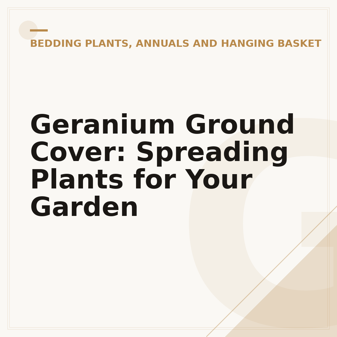 Geranium Ground Cover: Spreading Plants for Your Garden