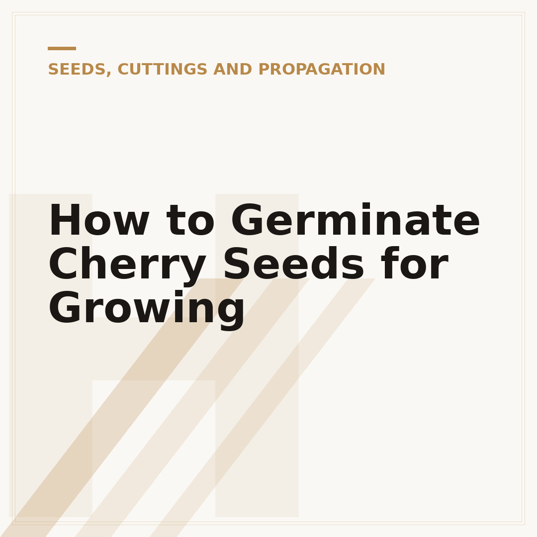 How to Germinate Cherry Seeds for Growing