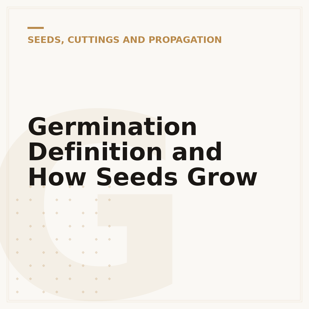 Germination Definition and How Seeds Grow