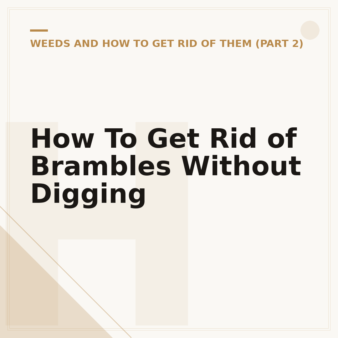 How To Get Rid of Brambles Without Digging