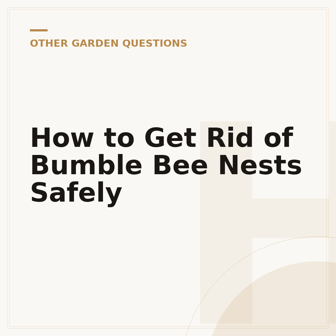 How to Get Rid of Bumble Bee Nests Safely