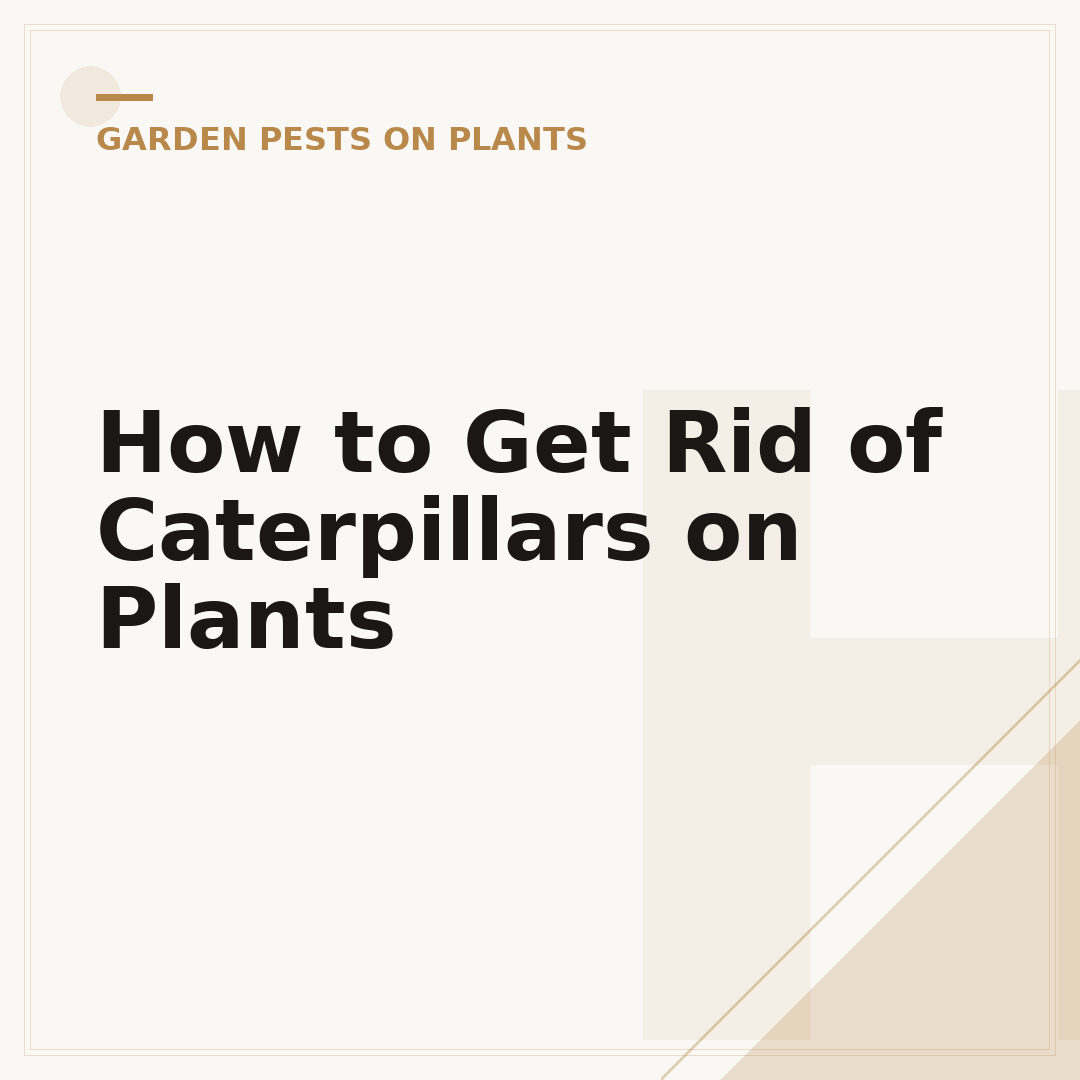 How to Get Rid of Caterpillars on Plants