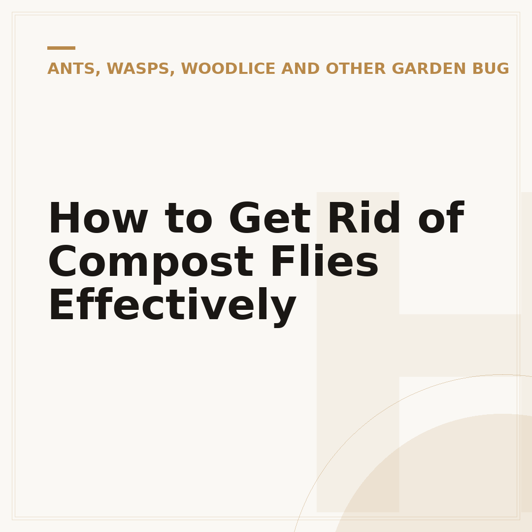 How to Get Rid of Compost Flies Effectively