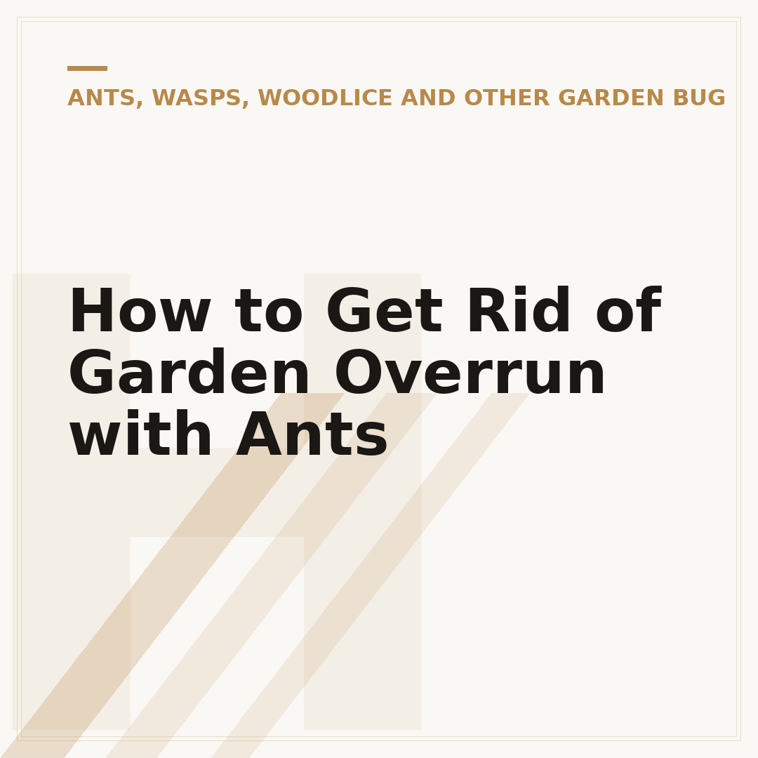 How to Get Rid of Garden Overrun with Ants
