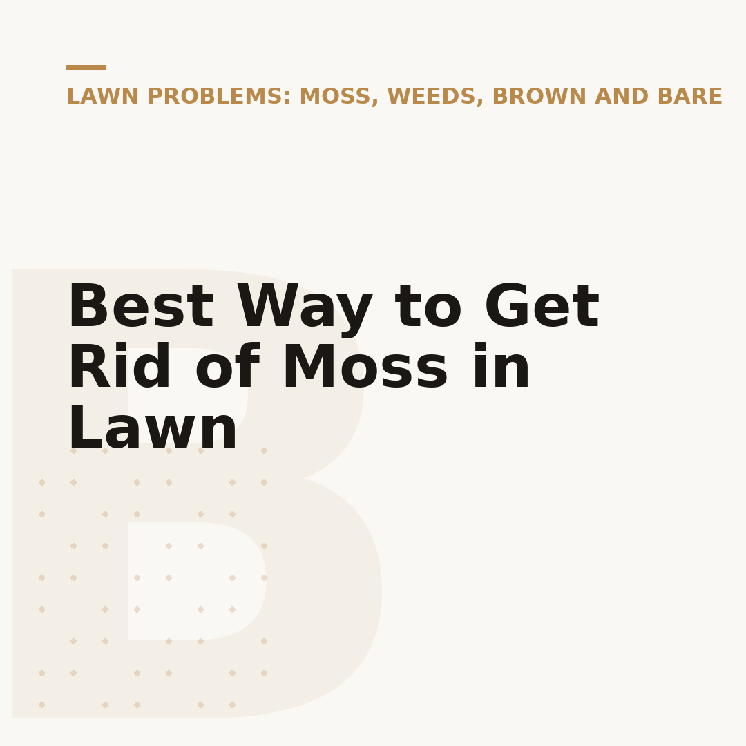 Best Way to Get Rid of Moss in Lawn