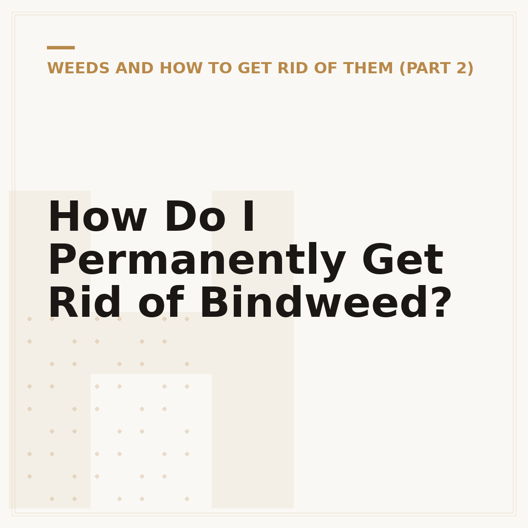 How Do I Permanently Get Rid of Bindweed?