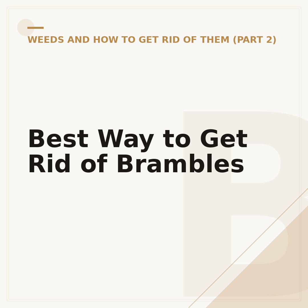 Best Way to Get Rid of Brambles
