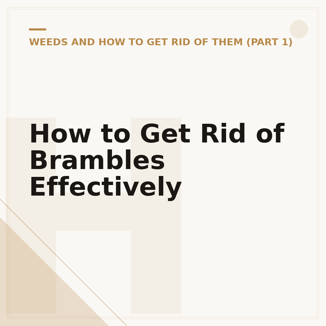 How to Get Rid of Brambles Effectively