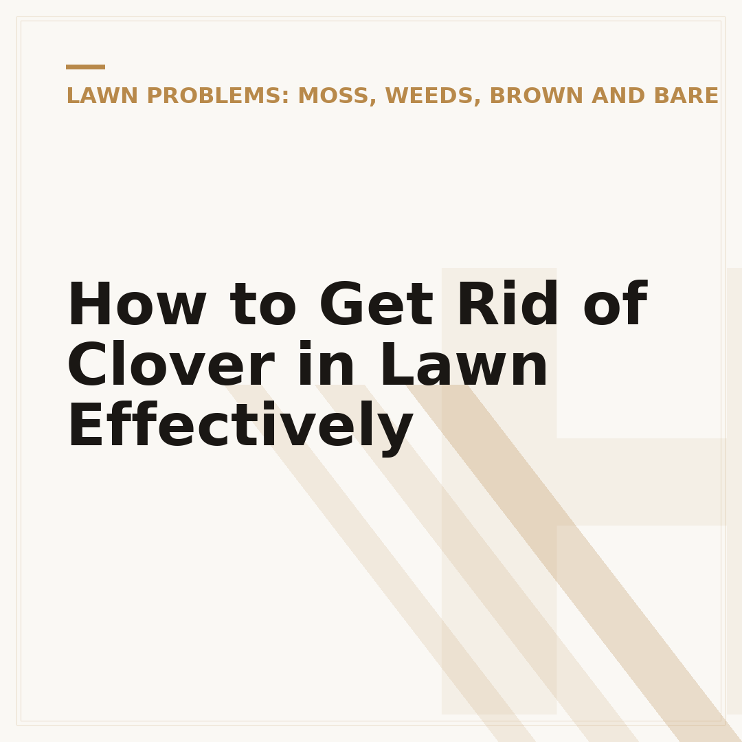 How to Get Rid of Clover in Lawn Effectively