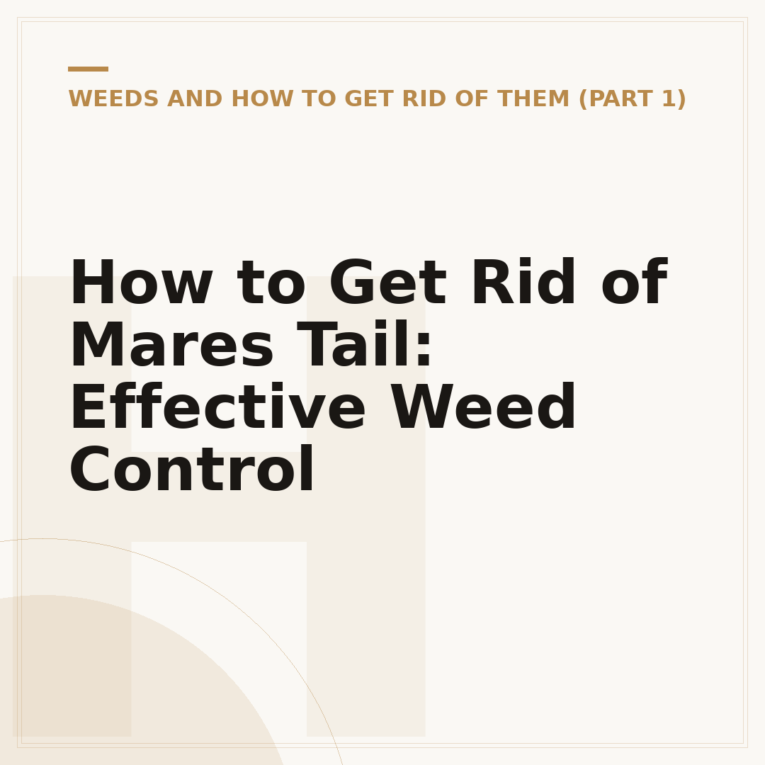 How to Get Rid of Mares Tail: Effective Weed Control