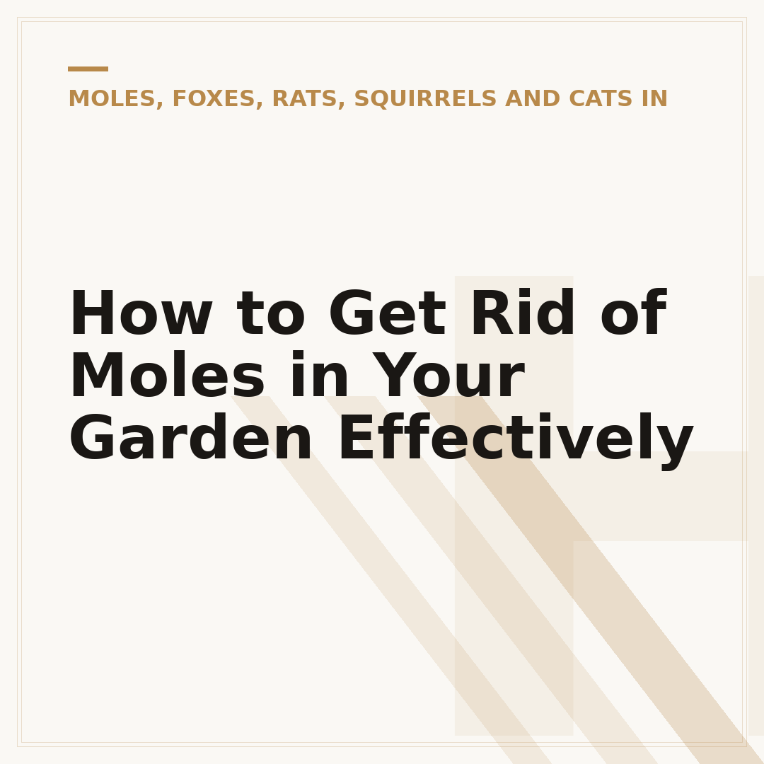 How to Get Rid of Moles in Your Garden Effectively