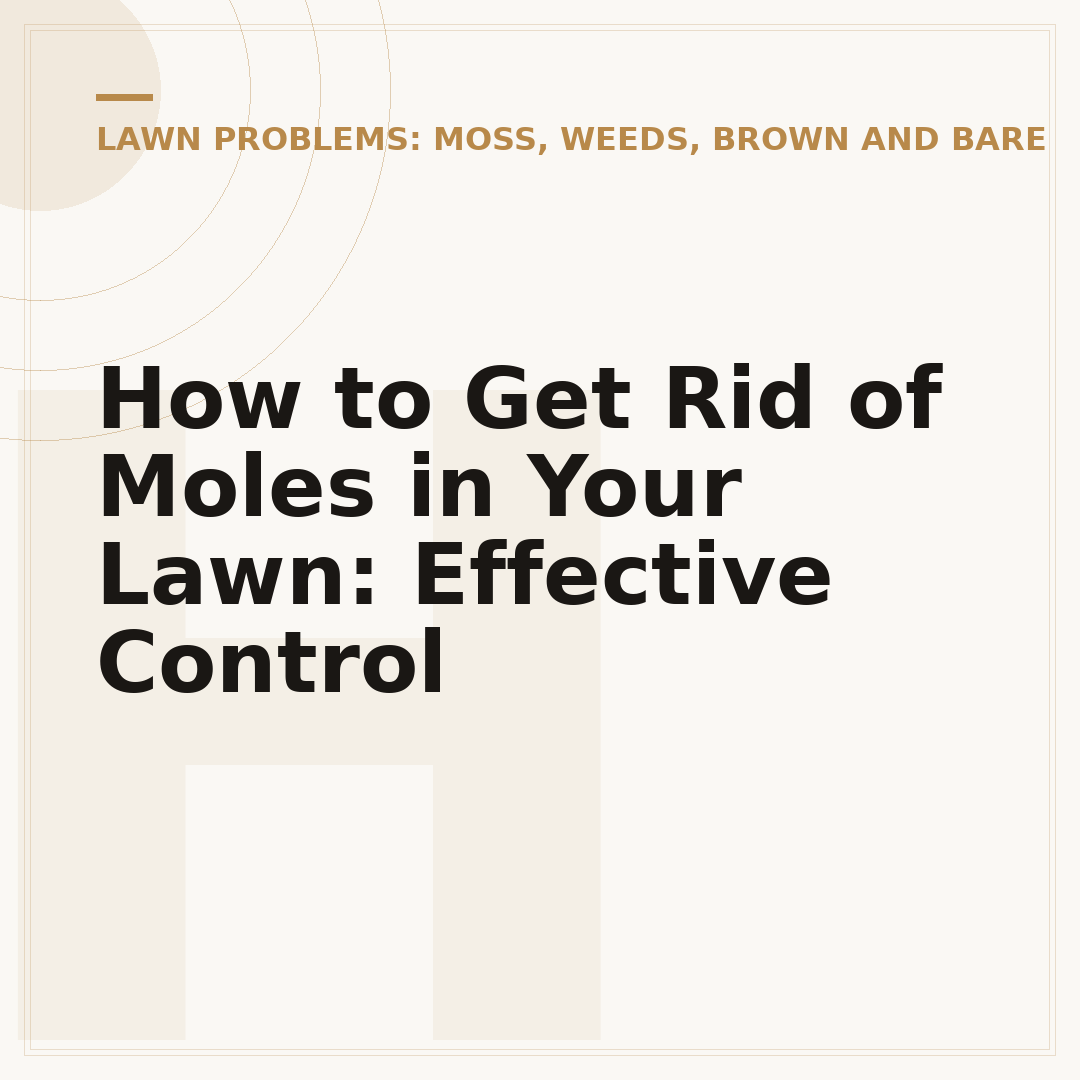 How to Get Rid of Moles in Your Lawn: Effective Control