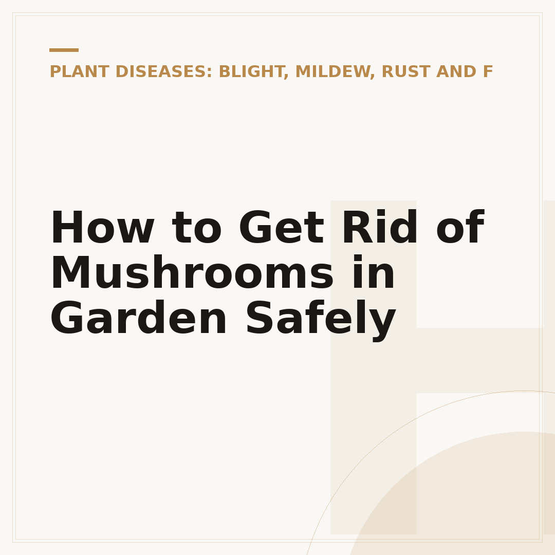 How to Get Rid of Mushrooms in Garden Safely